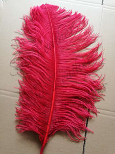 Grandes Plumes d'Autruche Artificielles Blanches de 15-80 cm, en Vrac, pour Décorations de Fête, Mariages, Carnavals, Artisanat, Teintes Naturellement, Offre à Bas Prix - Product Image 4