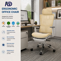 Chaise de bureau ergonomique en maille, dossier réglable, pour mobilier de bureau commercial – Approvisionnement direct usine