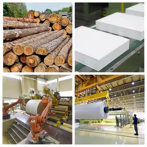 Carta per Fotocopie <span class=keywords><strong>A4</strong></span> Originale, 80 g/m², 500 <span class=keywords><strong>Fogli</strong></span>, Carta Bianca per Stampa <span class=keywords><strong>da</strong></span> Ufficio, Pronta per la Fornitura a Basso Prezzo - Product Image 6