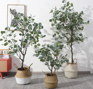 Planta Artificial seca de eucalipto para decoración del hogar, flores <span class=keywords><strong>secas</strong></span> en maceta, hoja de eucalipto Artificial inmortal, bonsái, venta al por mayor - Product Image 3