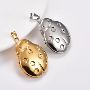 Bonito Collar con Colgante de Acero Inoxidable con Marco de Fotos de Mariquita para Mujer y Hombre, Cadena con Dijes de Marco de Fotos para Guardar Recuerdos, Joyería Metálica - Product Image 2