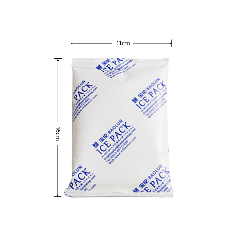 250g Gel Ice Pack for Food Storage Transport Cold Shipping