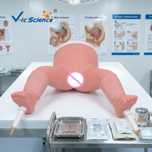 Modelo de Punción de Médula Ósea, Nueva Superficie Ósea Simulada de Tibia, Hueso Infantil - Product Image 4