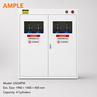 Armoire de stockage pour bouteilles de gaz, 4 cylindres, acier blanc, double porte, personnalisable OEM ODM pour laboratoire, usine, entrepôt, fournisseur B2B