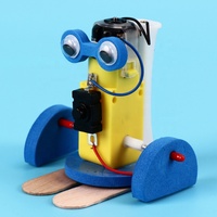 Kit de robot rampant éducatif en bois et plastique pour enfants de 5 à 13 ans, unisexe, directement de l'usine