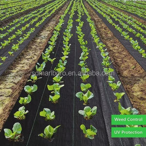 SDM haute qualité résistance à la traction pp tissé géotextile <span class=keywords><strong>noir</strong></span> pour limon clôture en gros bas prix - Product Image 6