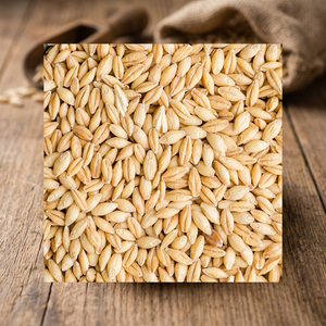 Aliments pour animaux : Orge naturelle biologique de première qualité en gros, sac de 50 kg - Product Image 3