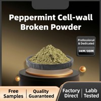 Poudre de menthe Breakwall en grande quantité, extraits de menthe de qualité alimentaire, fabrication SC, approvisionnement direct usine, chaîne d'approvisionnement OEM, conditionnement en bouteille