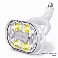 Lampe d'examen dentaire MedFruition E1 à LED, 8 LED, capteur infrarouge, 8000-40000 Lux, durée de vie de 15 ans