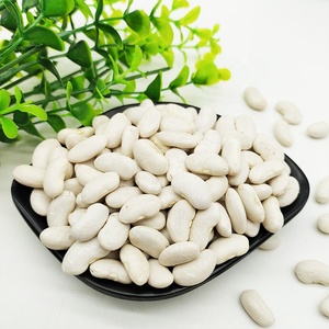 थोक गर्म बेच प्राकृतिक सफेद सेम सफेद चीनी बीन नई फसल सफेद गुर्दे सेम - Product Image 4