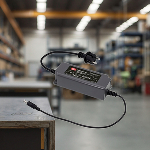 Adaptateur LED Owa-60e-42 60W 42V, étanche, européen, 2P, neuf, original, pour automatisation industrielle, contrôle programmable PLC - Product Image 1