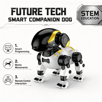 Jouets télécommandés à prix d'usine, électriques, contrôlés par application, avec évitement d'obstacles, pour divertissement intérieur-extérieur, pour animaux de compagnie