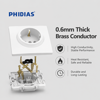 Prise Électrique Standard Européenne PHIDIAS 10A 250V avec Interrupteur, Garantie 2 Ans, Remises sur Commandes en Gros pour les Zones Régionales