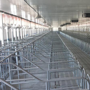 Sembrar caja de gestación de alta calidad embarazada cerdo caja de gestación en animales jaula para venta - Product Image 3