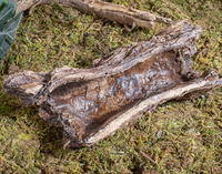 Caverne cachette pour reptiles, abri rond et durable pour baignade solaire, escalade et décoration paysagère