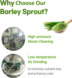 Bubuk Daun Barley Grosir Kustom 100g Bubuk Rumput Barley Label Pribadi Bubuk Jus Barley - Product Image 6