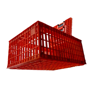 Tavşanlar için kullanılan tavuk kasaları taşıyan canlı tavuklar tavuk kümesi için profesyonel plastik taşıma sepeti - Product Image 4