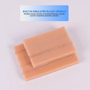 Mannequin d'entraînement aux injections intraveineuses ADA Medical Science (Modèle PVC BIX-HS15-2 2 vaisseaux) - Product Image 3