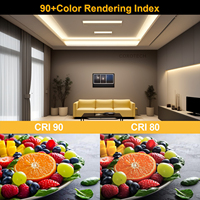 Bande lumineuse LED COB COXO ultra large 30 mm, haute puissance lumineuse, double densité de cuivre, certifiée UL CE ROHS pour projets commerciaux