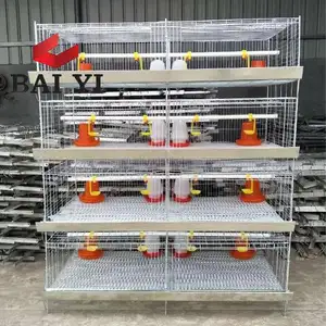 H Type 4 Layer Baby Chicken Cage/ Brooder/ Day Old Chicken Cages For Sale