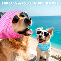 Bandana Rafraîchissant pour Animaux Prêt à Expédier – Écharpe de Cou PVA pour Soulager la Chaleur Estivale pour Chiens et Chats – Accessoire Rafraîchissant pour Animaux d'Extérieur
