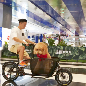 จักรยานไฟฟ้า E-cargo สำหรับครอบครัว โครงอะลูมิเนียม 9 สปีด 250 วัตต์ พร้อมเบรกดิสก์ไฮดรอลิก รับน้ำหนักได้ 160 กก. มินิ ESP3 มีสินค้าในสต็อก - Product Image 1