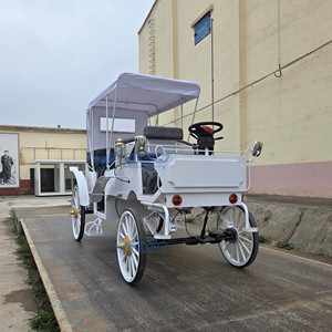 Calèche électrique personnalisable blanche de type Victoria, électrique/à chevaux, capacité de 6 personnes pour des excursions confortables - Product Image 5