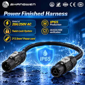Conector <span class=keywords><strong>de</strong></span> Alimentación <span class=keywords><strong>de</strong></span> 3 Pines Macho/Hembra 20A 250V, Entrada y Salida <span class=keywords><strong>de</strong></span> Energía, IP65, Cierre <span class=keywords><strong>de</strong></span> Pestillo, UL94 V0, Contactos <span class=keywords><strong>de</strong></span> Cu Platinados PA6, Arnés Terminado <span class=keywords><strong>de</strong></span> 3*2.5mm² - Product Image 1