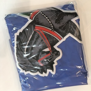 Bandera del Estado de Pensilvania Bordada en Oxford 210D de Primera Calidad, Bandera Estadounidense Duradera, Pedido al por Mayor - Product Image 2