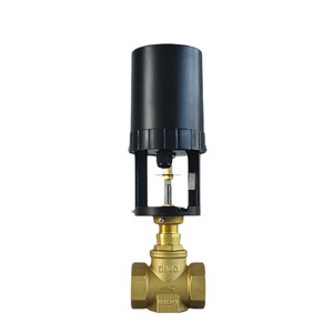 Vanne de régulation électrique en laiton DN50, type proportionnel intégré, pour le traitement des eaux usées - Product Image 4