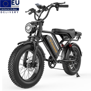 EU Stock 20Inch Fat Tire Electric City Bicycle 48V20Ah Battery Dirt Electric Sport Bike Full Suspension Retro Mountain Ebike - Product Image 1