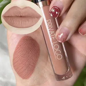 Duurzame Liptinnen Verkoper Uw Logo Lipgloss Tubes Afdrukken Met Papieren Dozen Nude Schaduw Lippenstift Matte Vloeibare Lippen