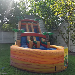 Tobogán Acuático Inflable con Forma de Palmera Morada, Tamaño Personalizado, con Lona de PVC para Uso Comercial en Fiestas y Parques de Trampolines Xinyue - Product Image 1