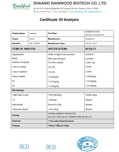 Rainwood OEM Capsules d'enzymes digestives personnalisées, capsules d'enzyme lactase, capsules d'enzymes - Product Image 2