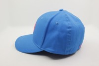 Cappellino da Baseball a 6 Pannelli in Tessuto Oxford Personalizzabile con Logo Ricamato a Mano e Chiusura Termosaldata
