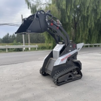 Chargeuse articulée compacte sur chenilles Cartiwell Mini pour chantier de construction