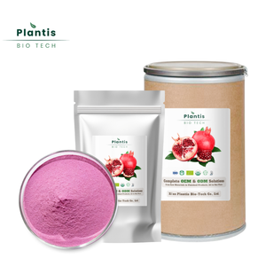 Tự nhiên flavour lựu 100% trái cây tự nhiên màu Đỏ lựu Bột nước ép - Product Image 3