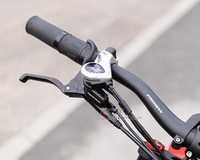 Vélo tandem le plus populaire E Bike Fat Tire 500W Moto électrique Citycoco Scooters électriques