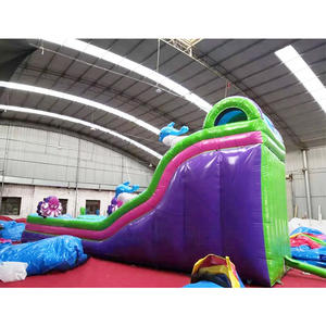Tobogán Inflable de PVC Resistente para Parque Acuático, Diseño Nuevo a Precio de Fábrica, Tobogán Inflable de Medusas para Niños y Adultos - Product Image 3