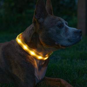 Collier pour chien moderne en nylon réfléchissant LED, rechargeable par USB, lumineux, réglable, anti-perte, pour la vente en gros, fabrication <span class=keywords><strong>OEM</strong></span> ODM - Product Image 3