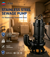 Bomba Sumergible de Hierro Fundido para Aguas Residuales, Bomba de Elevación de Aguas Residuales Comercial para Drenaje de Sótanos de Hoteles y Centros Comerciales, 2HP 220V 380V