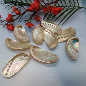 Coquille d'ormeau d'oreille d'âne naturelle pour la collecte d'échantillons, décoration de meubles, porte-<span class=keywords><strong>savon</strong></span> DIY - Product Image 2