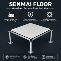 Lantai Terangkat Anti-Statik PVC Baja Utuh Langsung dari Pabrik 600x600x35mm Kelas ESD A Tahan Api untuk Ruang Bersih, Ruang Data SENMAI
