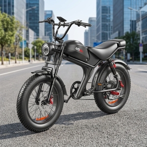 Bicicleta Eléctrica de Montaña para Adultos con Batería de Litio de 1000w 48v 20ah, Frenos de Disco Hidráulicos, Motor Central Potente Fw-93, Disponible en Almacén Europeo - Product Image 1