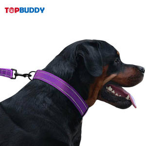 中型および大型犬用の夜間反射糸付きナイロン犬の首輪 - Product Image 5