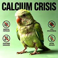 Gouttes de calcium pour oiseaux, pour le développement osseux et le soutien du système nerveux, glucuronate de calcium lactate à biodisponibilité élevée, 30 ml