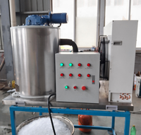 Machine à glace en paillettes industrielle efficace, conception économe en énergie, faible entretien, capacité de 500 kg, économique pour les installations alimentaires