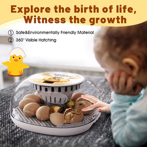 Wonegg M12 kích thước nhỏ kỹ thuật số đầy đủ tự động Gà Nở máy nhà sử dụng trứng lồng ấp - Product Image 5