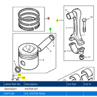 Juego de Pistones 4115P015 4115P515 4225019M91 32-607 1104C-44T 1104D-E44T para Motor CAT C4.4 ACERT, Pistón para Perkins Massey Ferguson