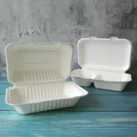 Boîte à lunch en papier jetable, récipients écologiques pour aliments, contenants biodégradables, Sugarcane, 50 pièces